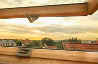 rated Balnapaling roof window companies